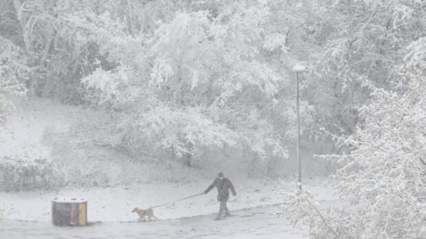 В Вологодской области из-за снегопада у 25 тысяч жителей отсутствует свет