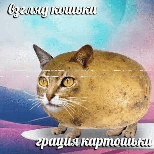 Нестандартный юмор :)