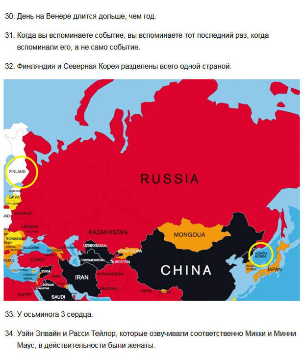 Удивительные короткие факты