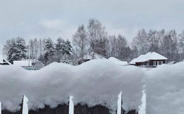 В Туме Клепиковского района сугробы 28 января достигли 59 см