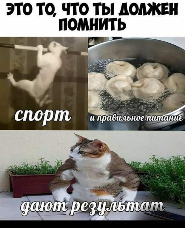 На суде адвокат прокурору: - Неужели вы не видите, что подсудимый дебил?...
