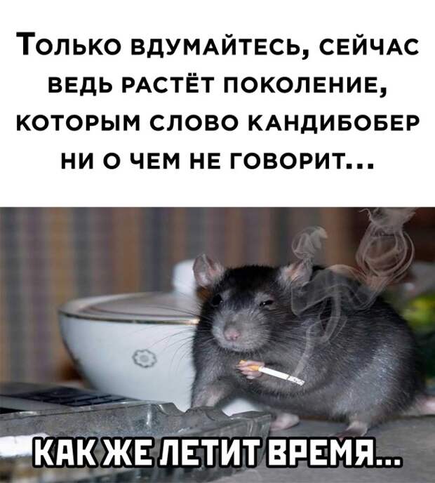 Смешные картинки вечер 29 апреля 2021