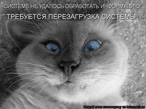 Мысли вслух :)