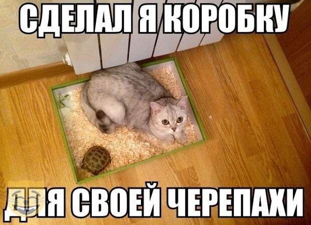 накопилось тут...