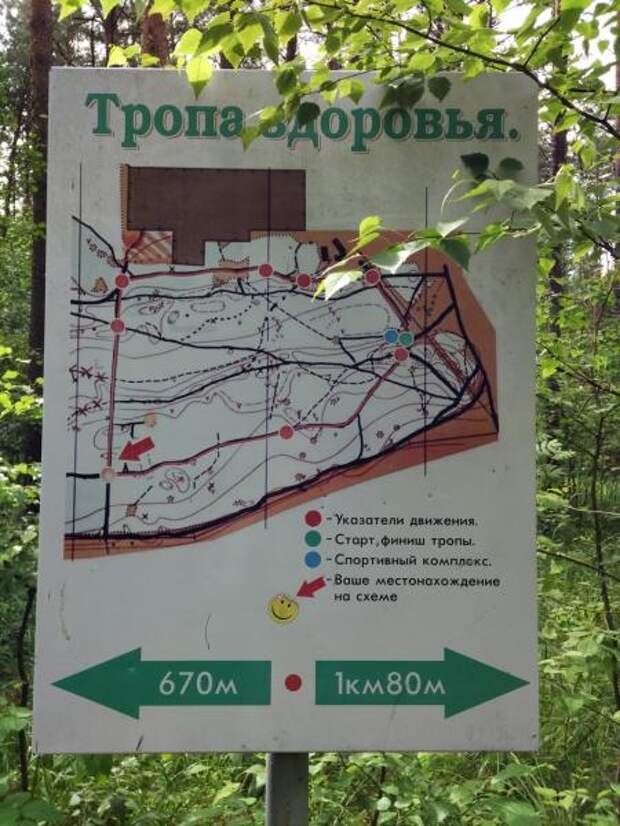 Тропа здоровья балашиха. Дендрарий балашиха лосиный остров. Тропа здоровья москва босиком. Тропа здоровья. Тропа здоровья балашиха.