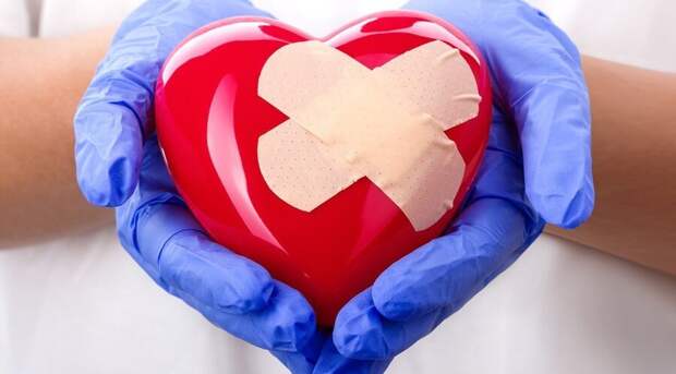 Ученые нашли способ «починить» сердце после инфаркта