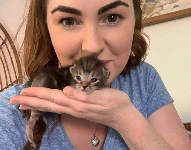 Без кота и жизнь не та