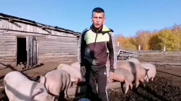 На берёзу за знаниями: омский блогер, залезавший на дерево ради дистанционного обучения, рассказал о проблемах в посёлке