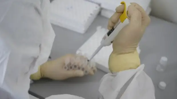 В Севастополе 43 человека заразились COVID-19