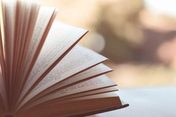 Книга/Фото: pixabay.com