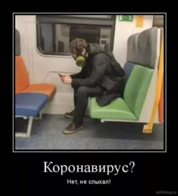 Демотиваторы про коронавирус с надписями. Подборка chert-poberi-dem-koronavirus-chert-poberi-dem-koronavirus-48590603092020-4 картинка chert-poberi-dem-koronavirus-48590603092020-4