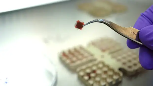 Эксперимент в стратосфере: какие микроорганизмы способны выжить в марсианских условиях