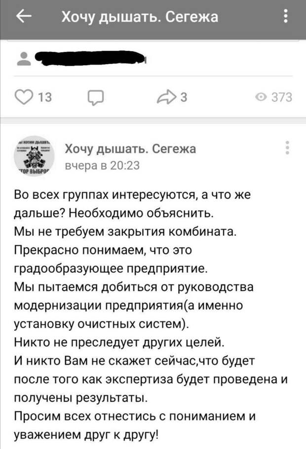 Жители Сегежи хотят провести независимую экспертизу окружающей среды