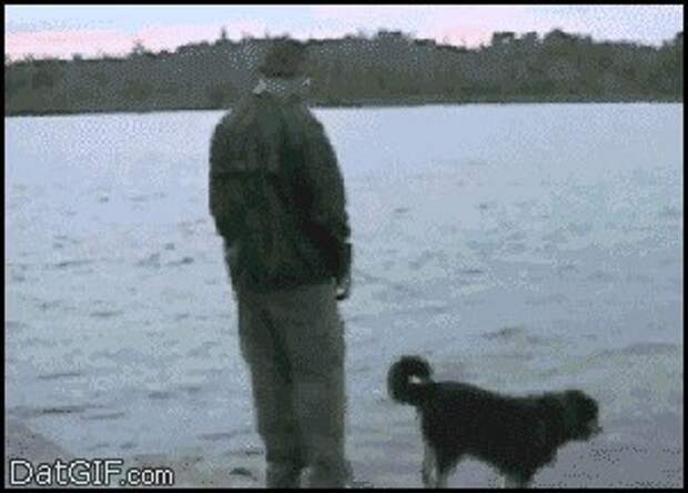 Не рой собачке яму... Не рой собачке яму...
