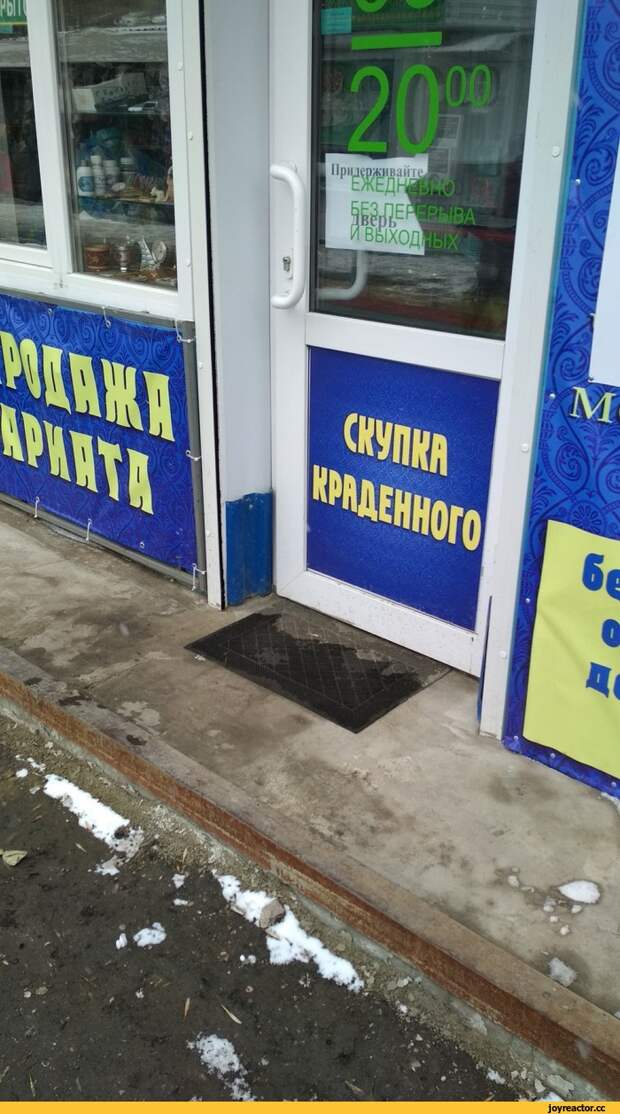Любой бизнес должен быть прозрачным загадка, коты, прикол, тайна, холодильник, что происходит, юмор