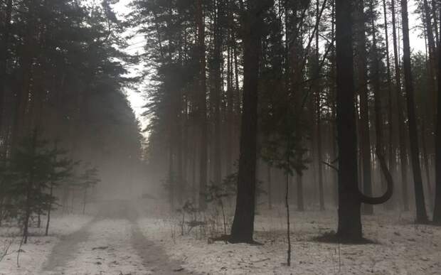 На Рязанскую область спустится и установится туман до 21 января