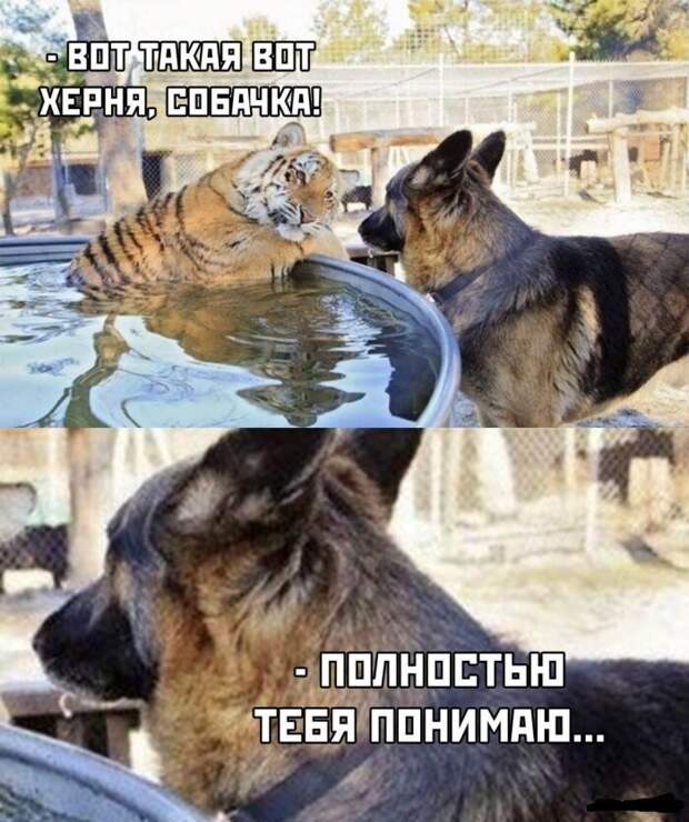 Вот такая вот херня