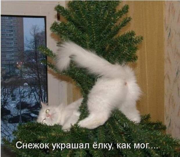 OHmJYoUh5gM (600x523, 173Kb)