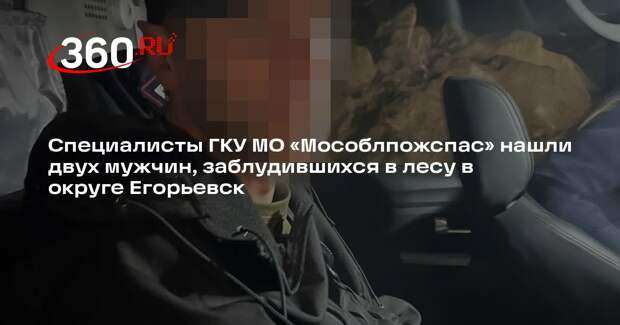 Спасатели вывели двух мужчин из леса в Подмосковье