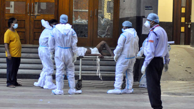 «Как Эбола и Марбург»: раскрыт уровень смертности заразившихся вирусом Нипах