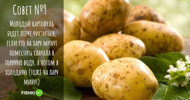 Как чистить картошку? еда, жареная картошка, картофель в мундире, кулинарные секреты, пюре, рецепты, хранение картофеля