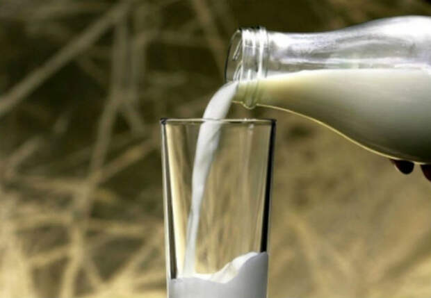 Отказываемся от молока: что будет с телом