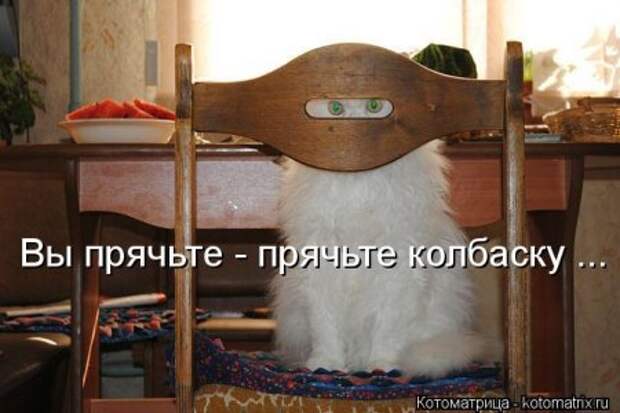 Подумала о своей жизни... сразу мухи налетели.