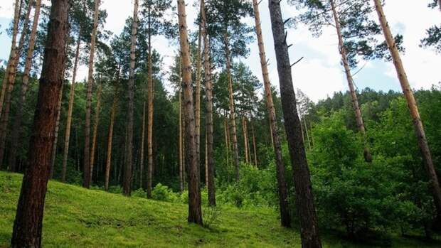 Сибиряк раскопал шахту ядерной ракеты, чтобы сдать ее на металл