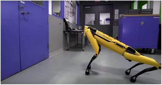 Теперь ты не спрячешься! Робопсов Boston Dynamics научили кооперироваться и открывать двери Boston Dynamics, видео, дверь, прикол, робот, робототехника, роботы