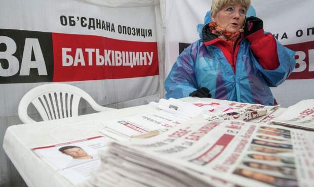 "Батькивщина" намерена объединиться со всеми проевропейскими партиями