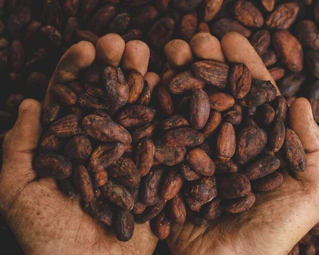 Бельгийское наследие и современные технологии в SK-CHOCOLATIER
