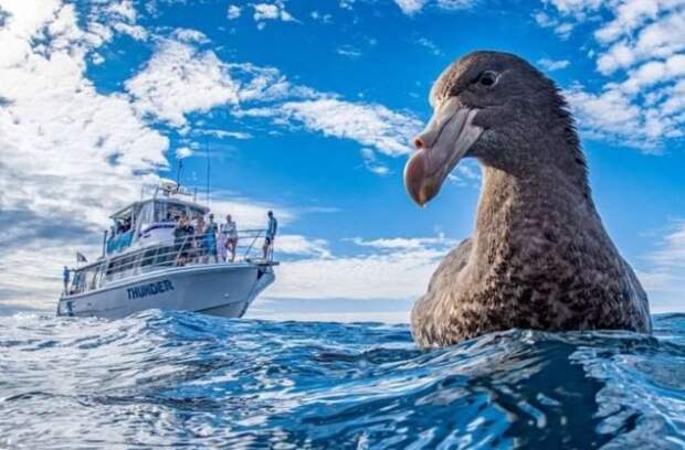 Обманчивая перспектива: 22 примера оптических иллюзий
