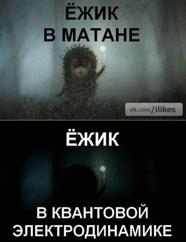 Новогодняя минутка юмора Новогодняя минутка юмора