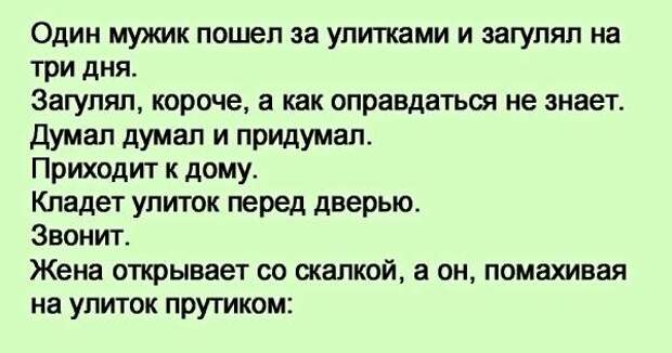 Улитка заходит в бар. Анекдот про улитку. Анекдот про улитку и мужика. Анекдот про улитку в баре. Анекдот про улитку и бармена.