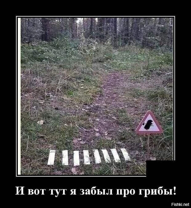 f81ddd9234f1057893987c9a70eccd34 (642x699, 221Kb)