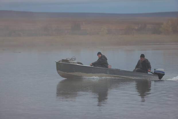 «Цинга»: Красное и серое