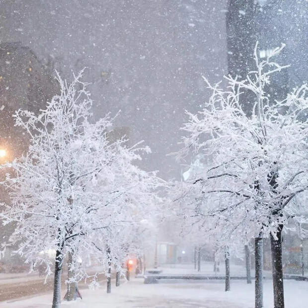 Москвичей предупредили о сильном снегопаде до конца дня 9 января
