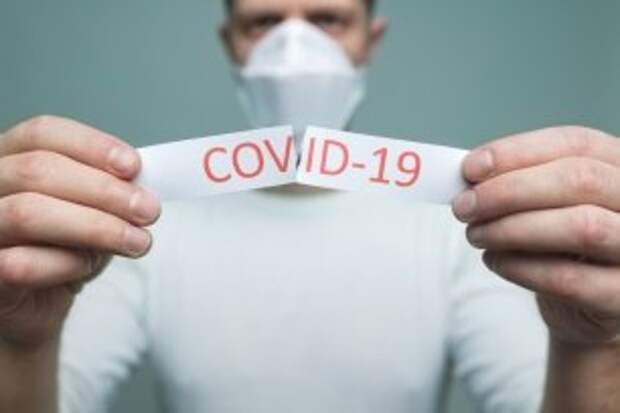 COVID-19 в Вологодской области: выявили 145 заражённых