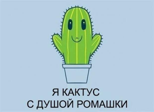 Веселые картинки и приколы для вас!