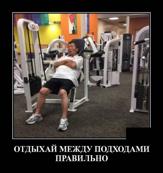 demotivatory-demotivator-smeshnye-demotivatory-demotivator-so-smyslom