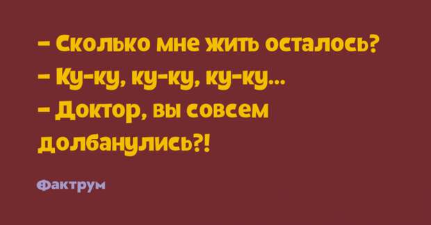 Славная десятка анекдотов, стоящих вашей самой широкой улыбки