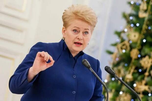 Экс-посол России в Литве рассказал, что ответил Грибаускайте на хамство