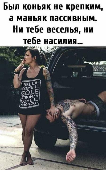 Свежие прикольные картинки