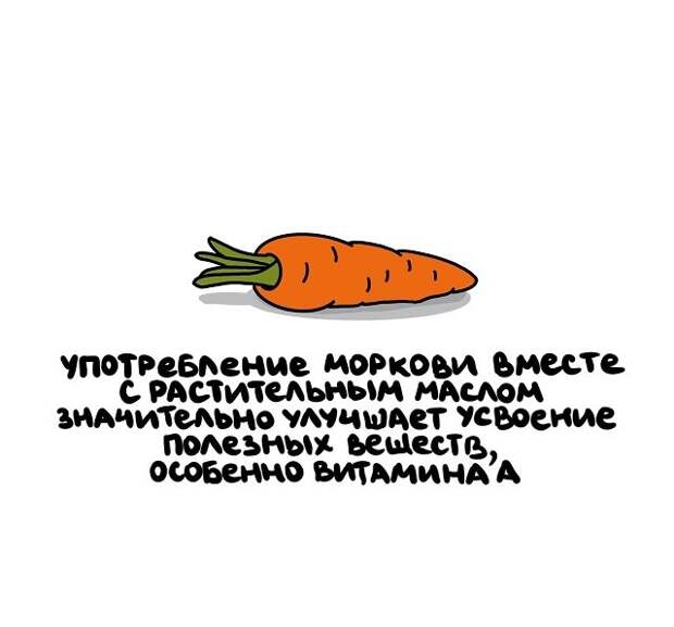 Интересные, но короткие факты на все случаи жизни
