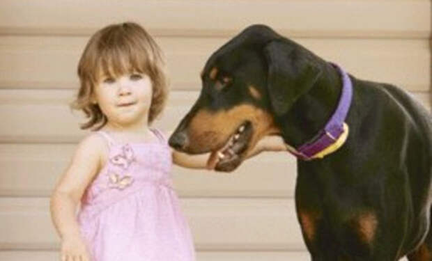 Собака заметила ползущую к ребенку змею и моментально унесла девочку из опасного места