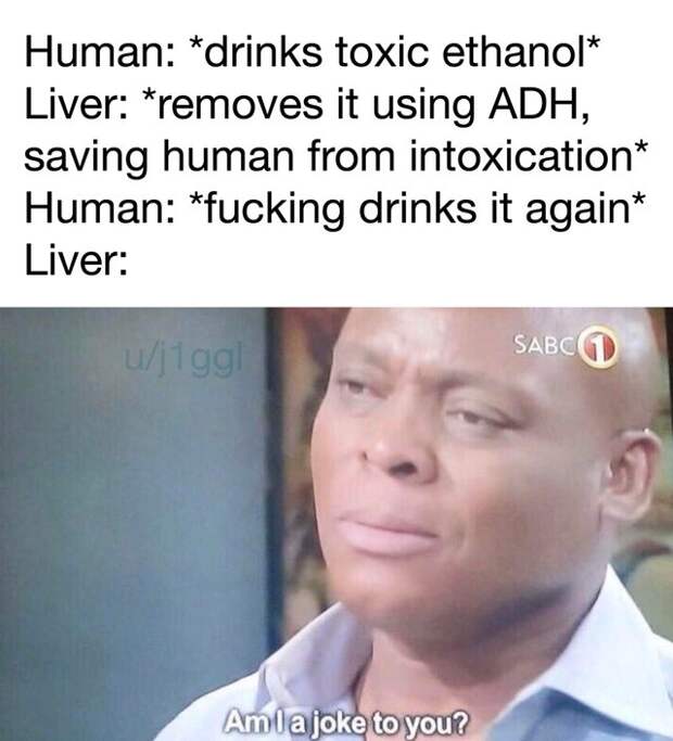Am I a Joke to You?
