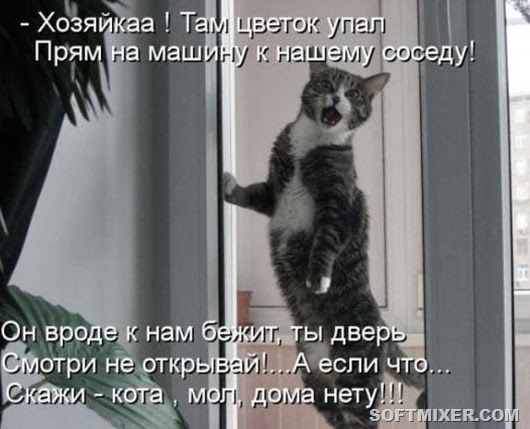 2e6788b542266a95af6429a7eb6_prev