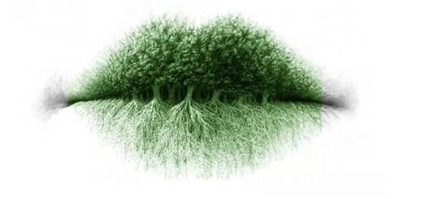 Достаточно внимательно посмотреть на картинку: первое, что увидите, расскажет нечто важное о личной жизни