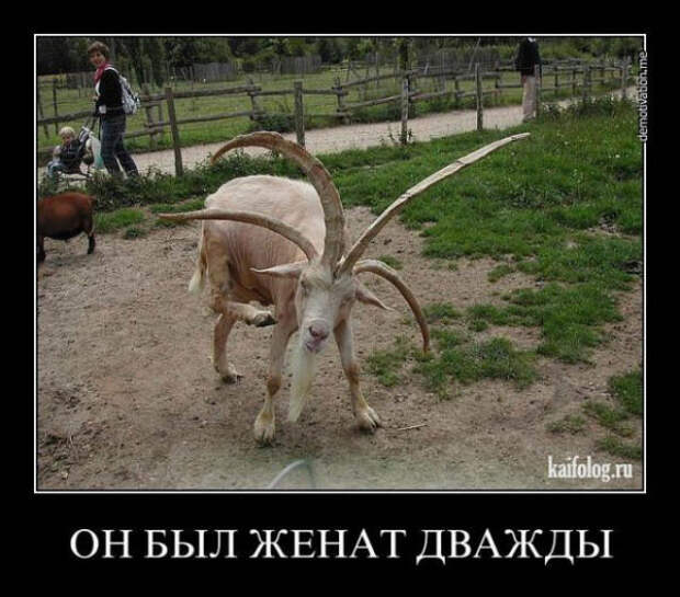 Картинки ржачные про жизнь 4