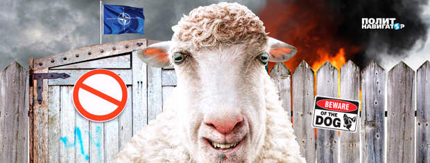 Американский профессор цинично признал, что Украина выполняет грязную работу за НАТО